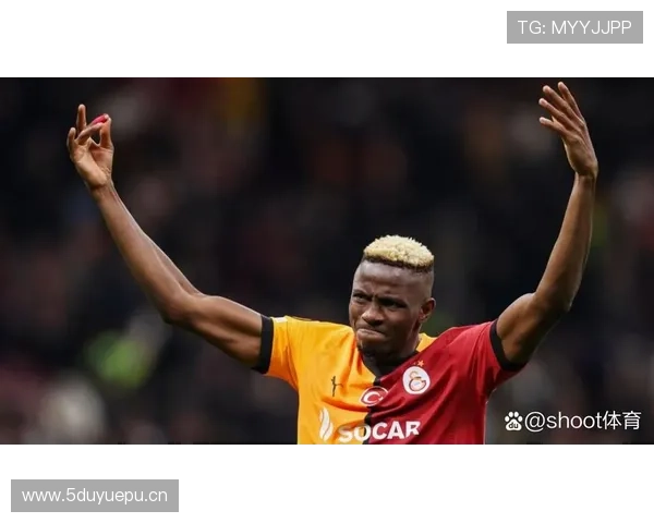 奥斯梅恩生涯荣誉解析:意甲冠军与金靴的含金量 奥斯梅恩生涯荣誉解析:意甲冠军与金靴的含金量